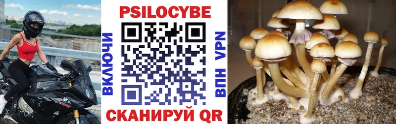 Галлюциногенные грибы мухоморы  Купить где  Уяр 